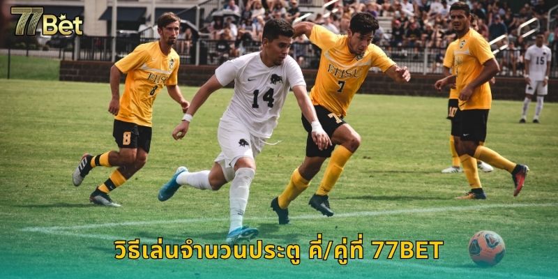 วิธีเล่นจำนวนประตู คี่/คู่ที่ 77BET